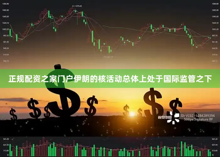 正规配资之家门户伊朗的核活动总体上处于国际监管之下