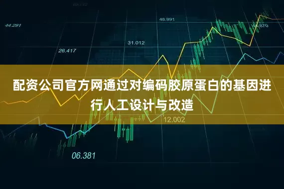 配资公司官方网通过对编码胶原蛋白的基因进行人工设计与改造