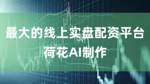 最大的线上实盘配资平台荷花AI制作
