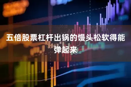 五倍股票杠杆出锅的馒头松软得能弹起来