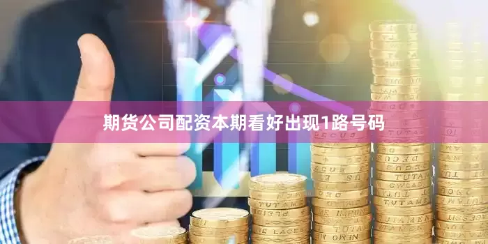 期货公司配资本期看好出现1路号码